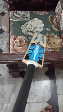 Hard ball bat cricket