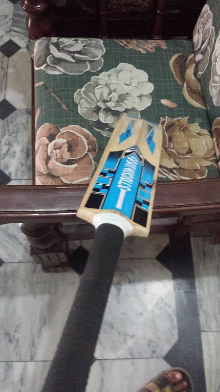 Hard ball bat cricket 0