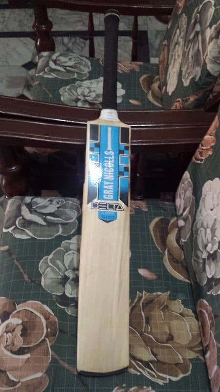 Hard ball bat cricket 1