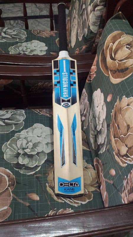 Hard ball bat cricket 2