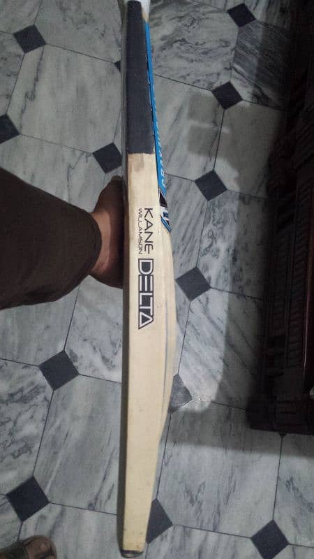 Hard ball bat cricket 3