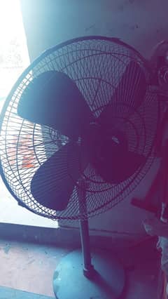 Eye catching Fan