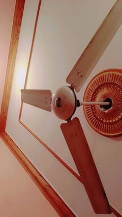 Fan for Sale 3000