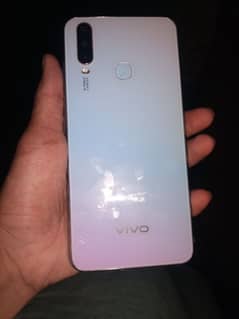 vivo