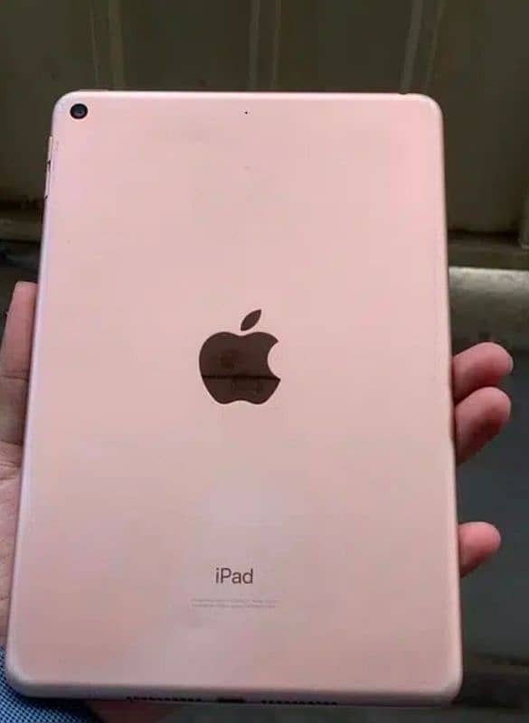 iPad Mini 5 0