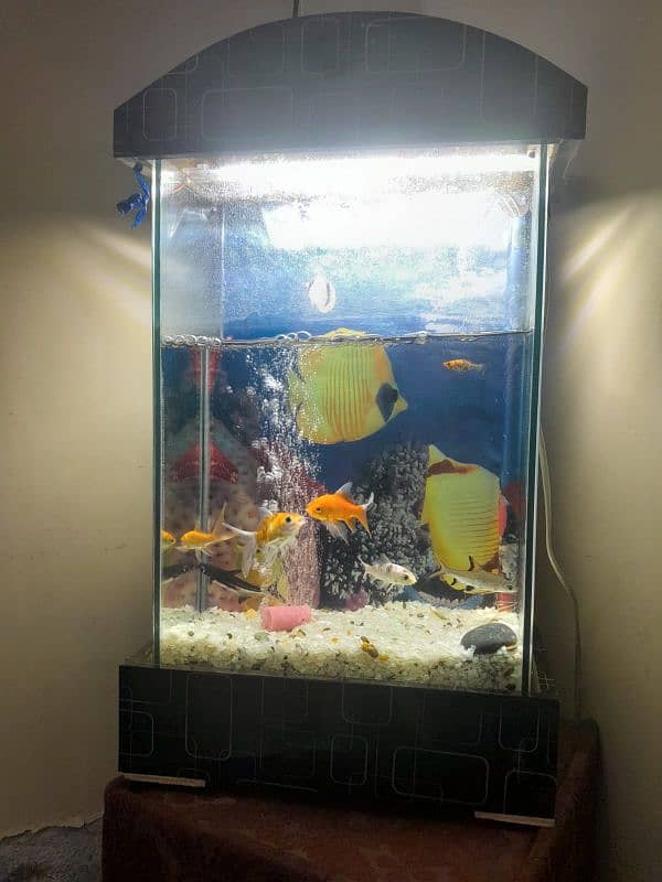 fish aquarium 03182025009 0