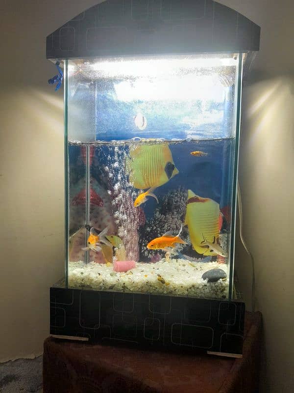 fish aquarium 03182025009 1