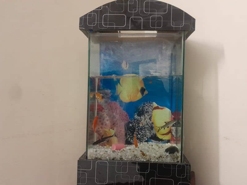 fish aquarium 03182025009 6