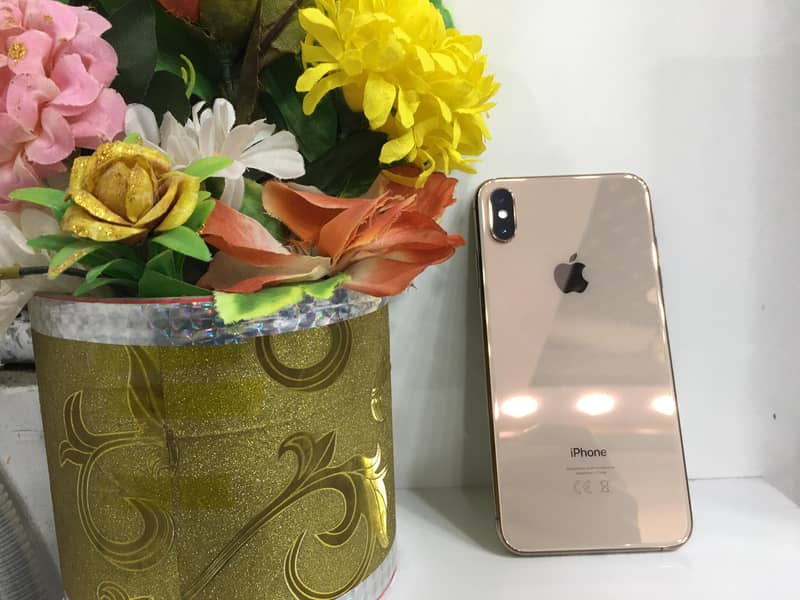 iPhone XS Max - 512GB Gold, PTA Approved, Dual SIM, Water Pack 1