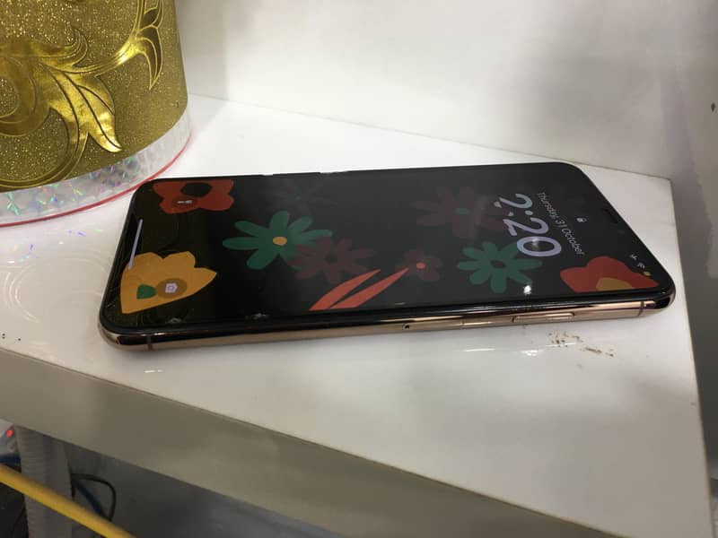 iPhone XS Max - 512GB Gold, PTA Approved, Dual SIM, Water Pack 2