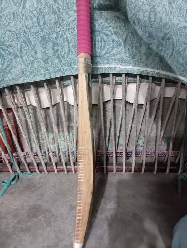 English Willow bat Hard ball 2