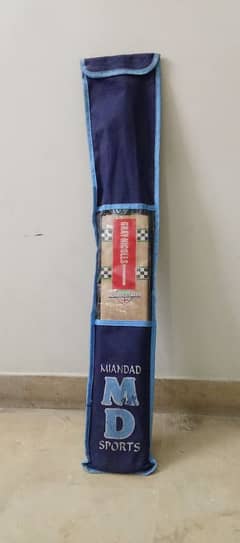 hard ball cricket bat