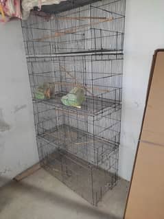 8 portion bird cage.