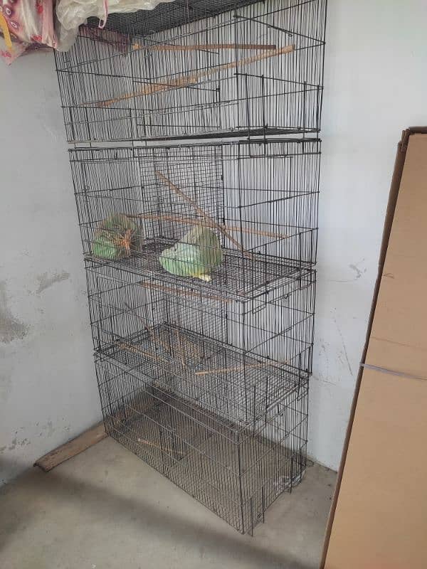 8 portion bird cage. 0