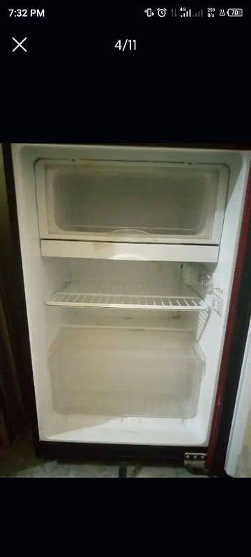 Pel Room Fridge 4