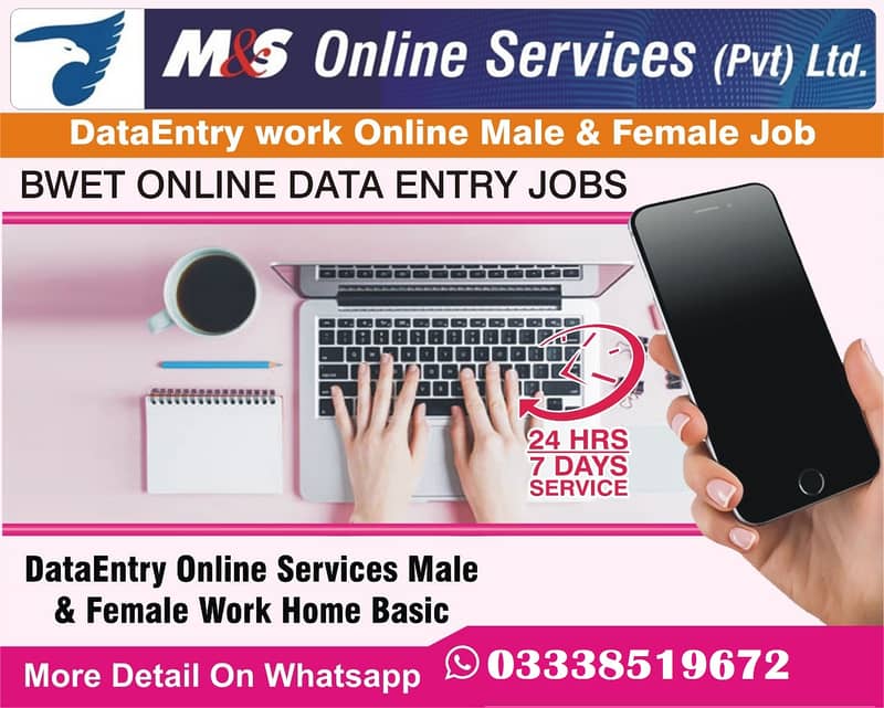 Online Data Enter company offering  to ever one to earn money at home 0