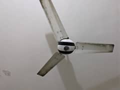 3 roof fans/ceiling fans 9000.     contact 03054331940