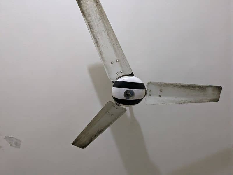 3 roof fans/ceiling fans 9000.     contact 03054331940 0