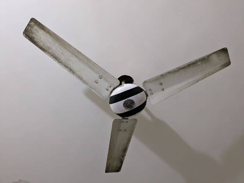 3 roof fans/ceiling fans 9000.     contact 03054331940 1