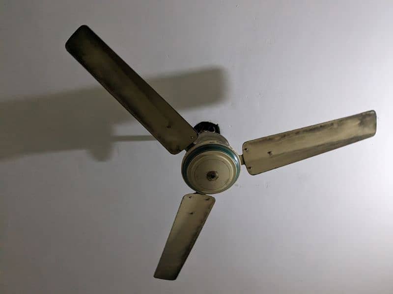 3 roof fans/ceiling fans 9000.     contact 03054331940 2