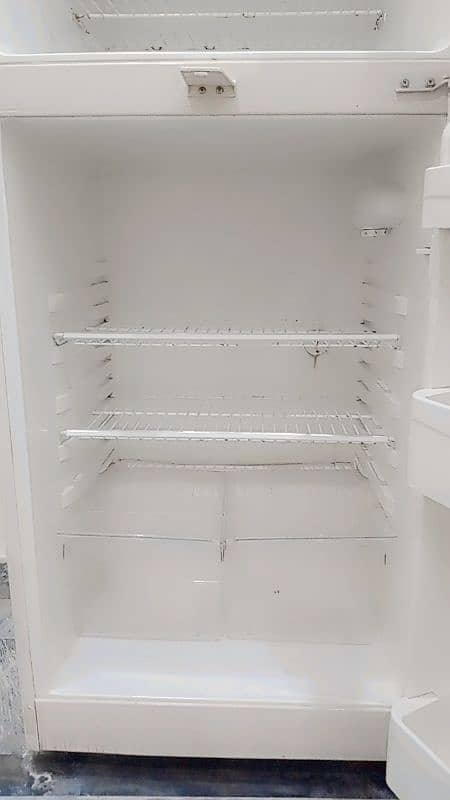 Haier Fridge Medium Size 5