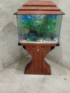 Fish Aquarium with all accessory