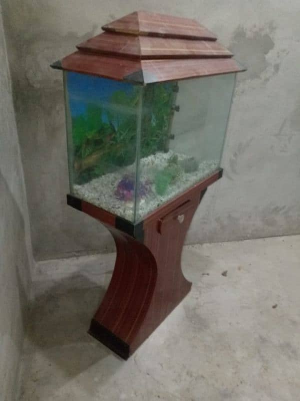 Fish Aquarium with all accessory 2