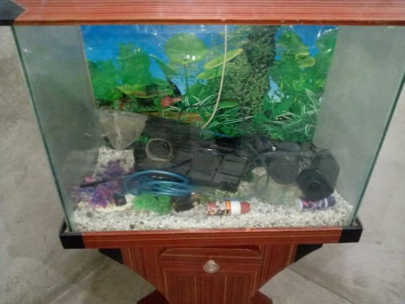 Fish Aquarium with all accessory 3