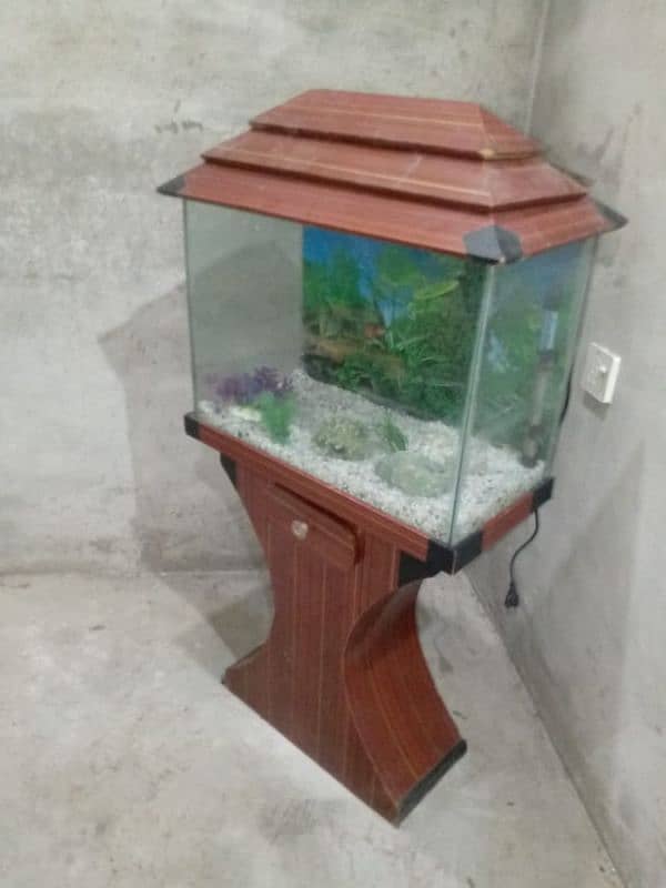 Fish Aquarium with all accessory 10