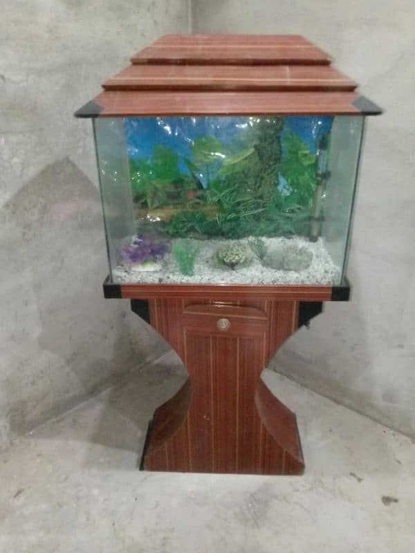 Fish Aquarium with all accessory 11