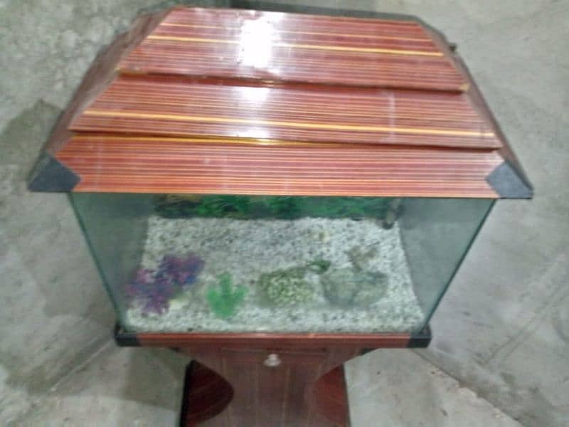 Fish Aquarium with all accessory 12