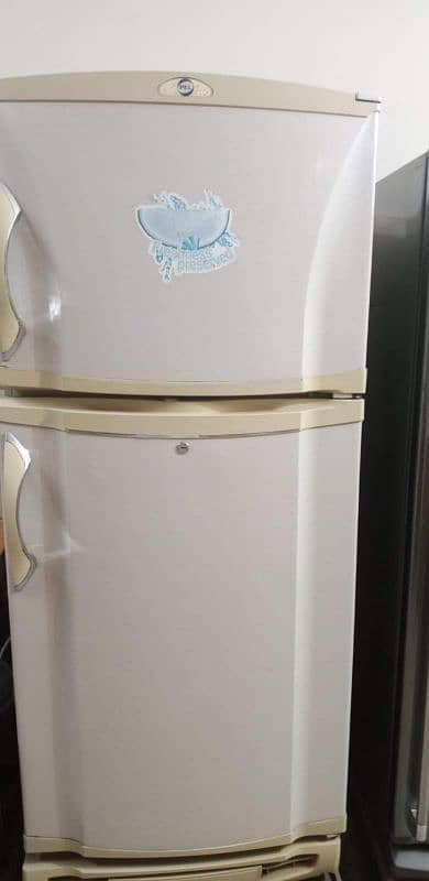 pel fridge Excellent condition 0