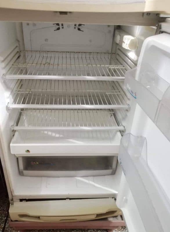 pel fridge Excellent condition 2