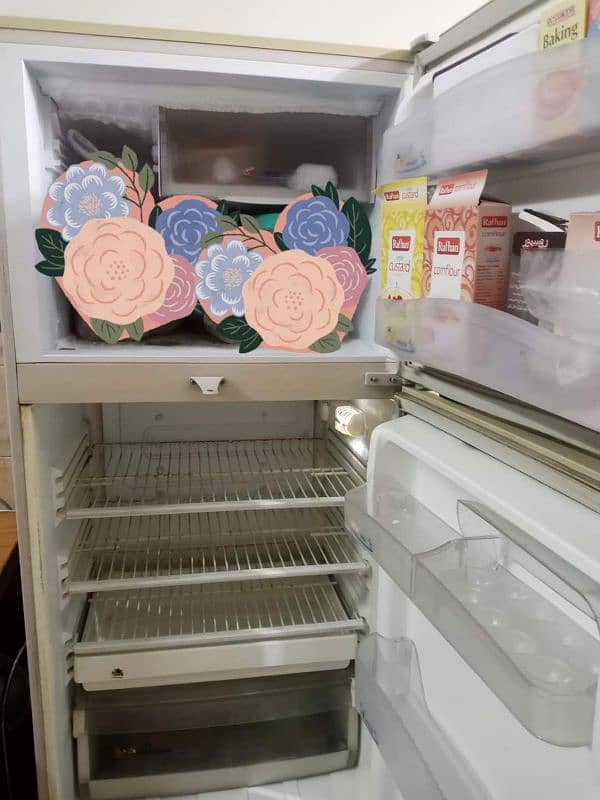 pel fridge Excellent condition 3