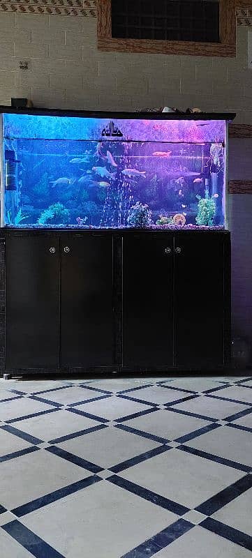 large Fish aquarium 2