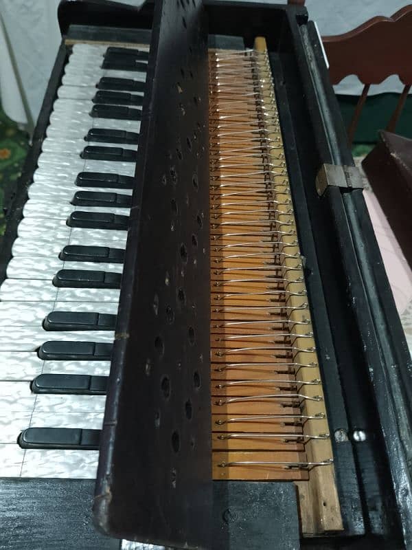 Harmonium Bhargava Reed 2