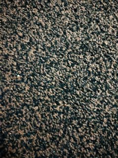 carpet A1 condition