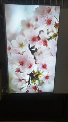 Samsung 75 inch LCD