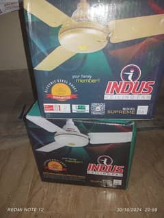 Indus fan