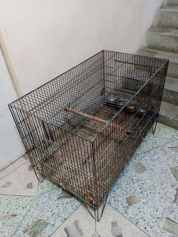 Heavy Cage 1