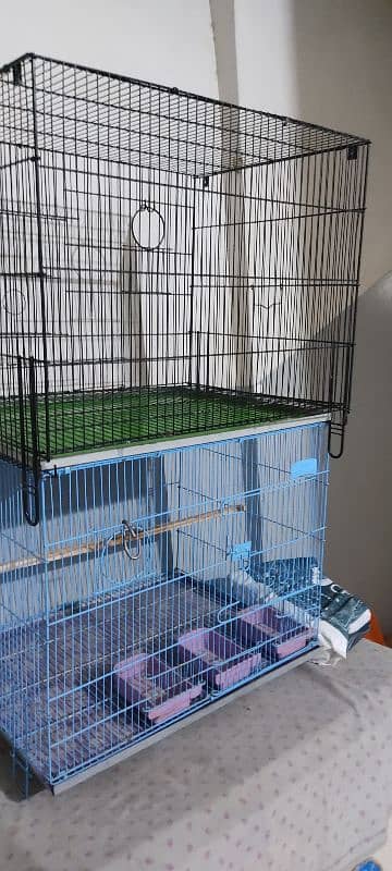 new cage 5