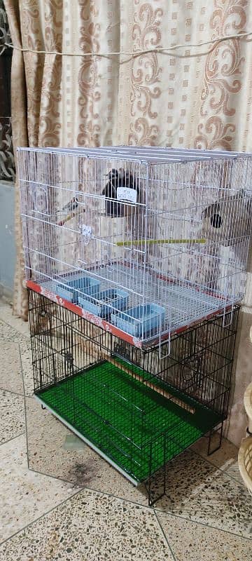 new cage 8