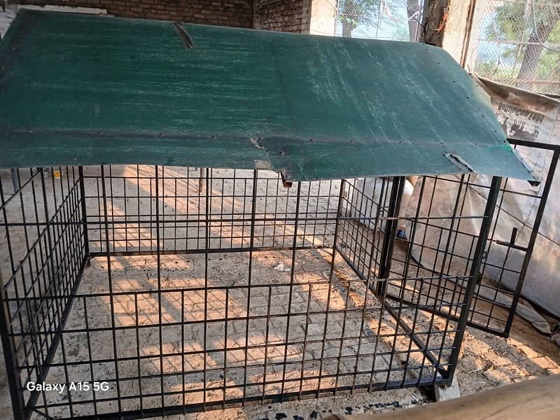 Iron Dog Cage 3