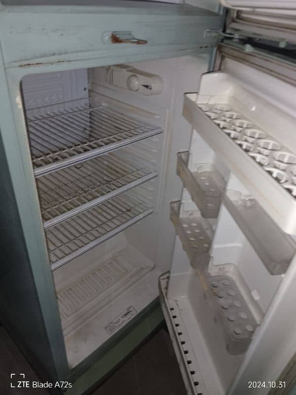 wawes fridge mediam 2