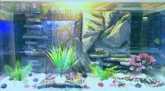 New 3D Running Aquarium For Sale.