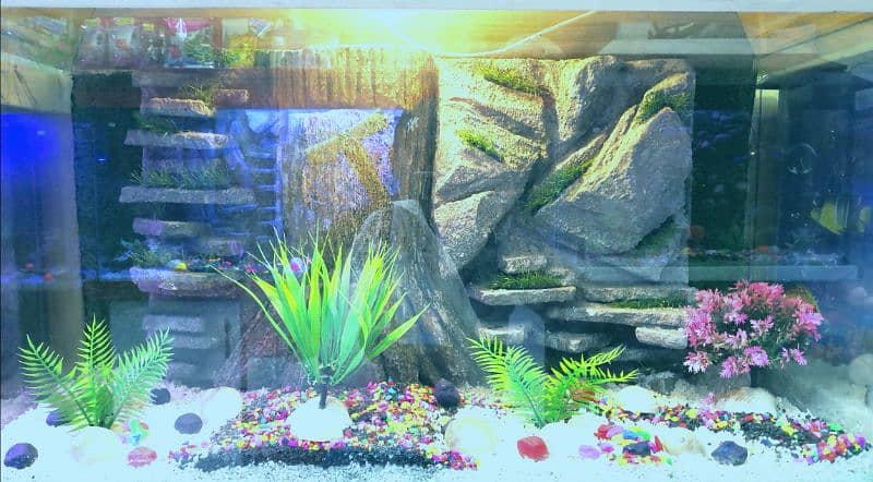 New 3D Running Aquarium For Sale. 1