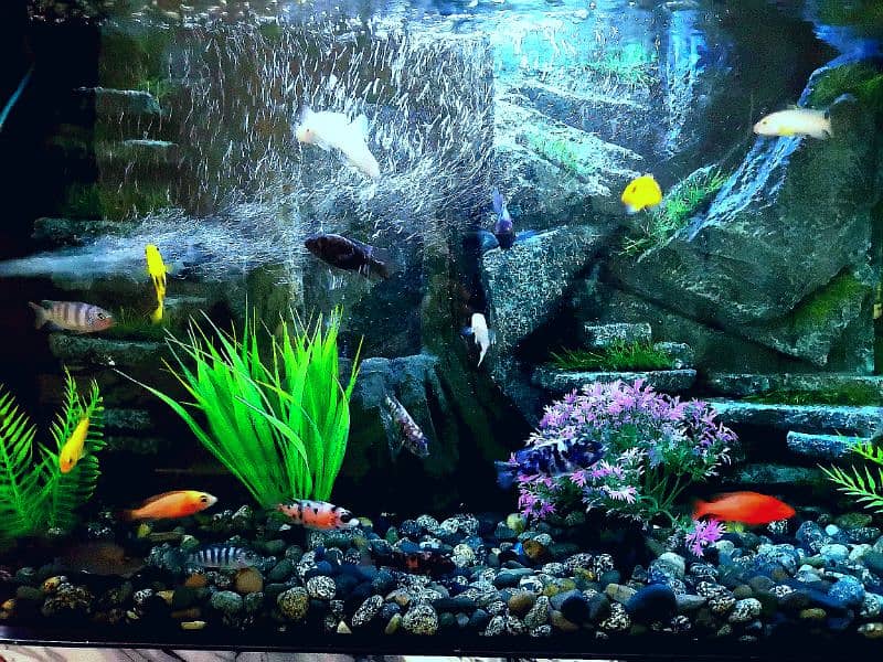 New 3D Running Aquarium For Sale. 3