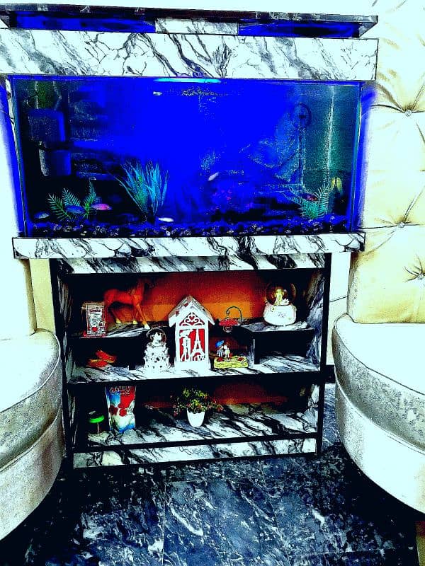 New 3D Running Aquarium For Sale. 5