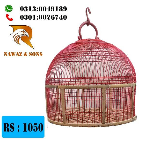 Aseel murga cage 14