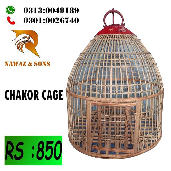 Aseel murga cage 18